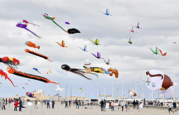 In pics: 20th Dieppe Int’l Kite Festival