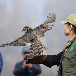 微信分享圖