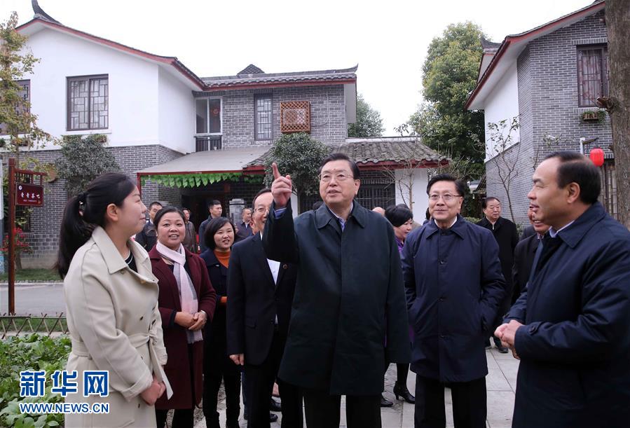 這是11月22日，張德江來到成都郫縣青杠樹村，了解村民委員會(huì)工作情況。 新華社記者 劉衛(wèi)兵 攝 