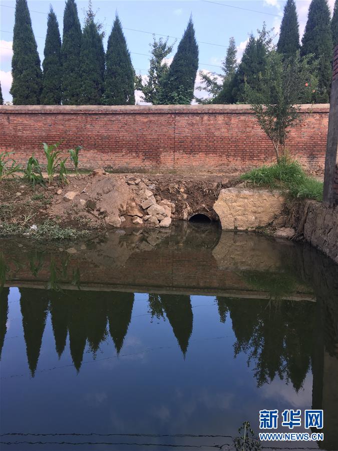 （新華視點·圖文互動）（3）上游洪水來襲下游魚蟹死亡，泄洪為何變泄污？