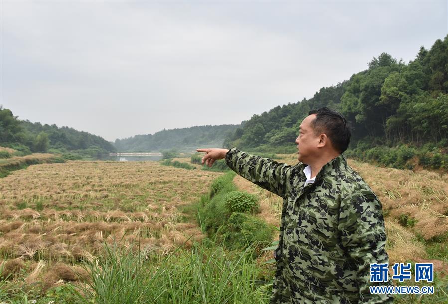 （代表委員履職·圖文互動）（2）“我是農民代表，始終關注農村”——全國人大代表沈昌健的履職故事