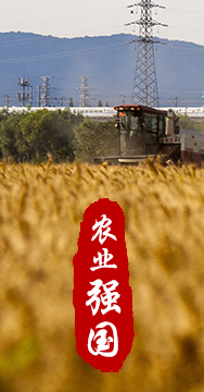 農業強國是社會主義現代化強國的根基。