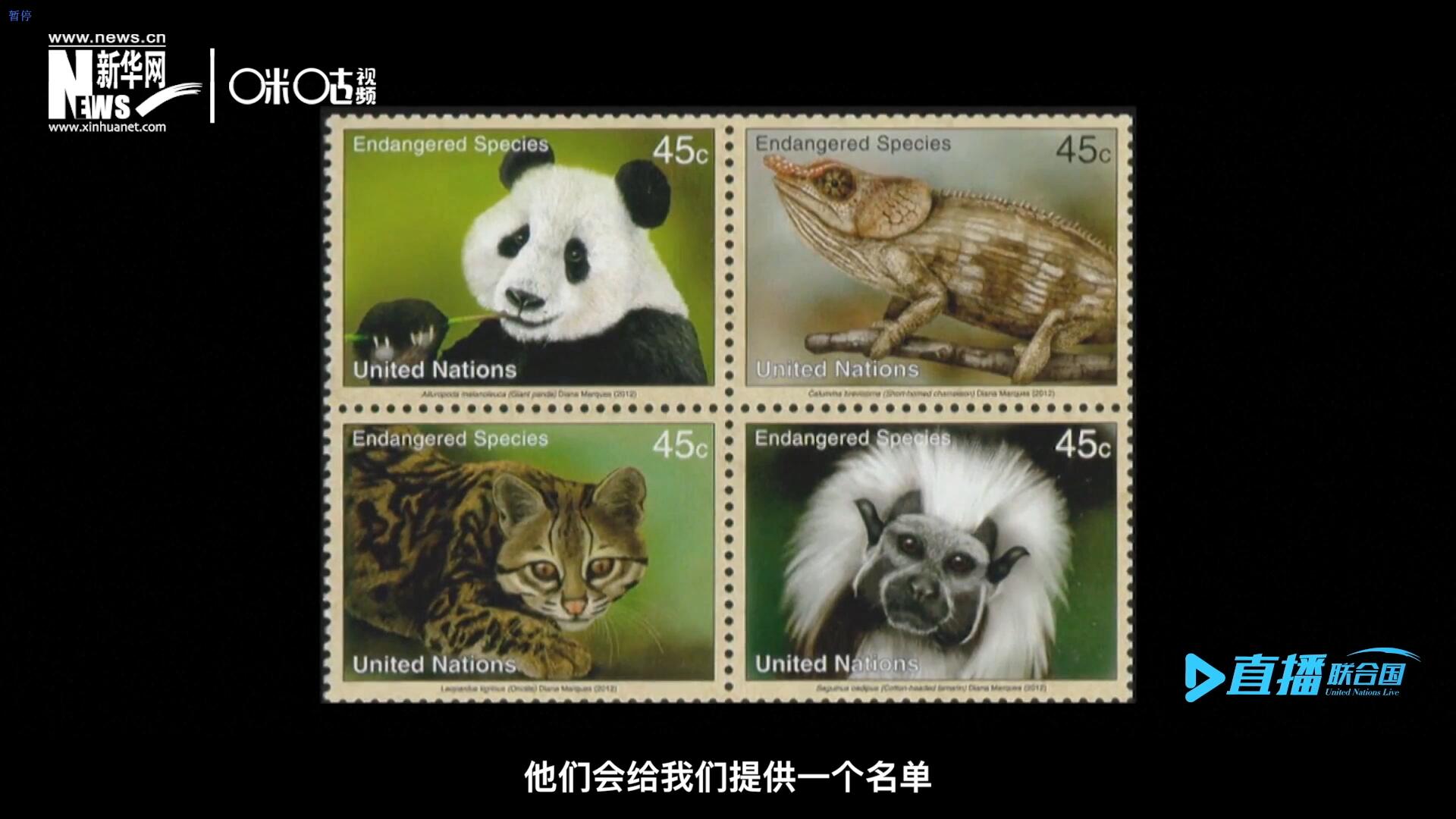 CITES（瀕危野生動植物種國際貿易公約）會給聯合國郵政設計師提供一個名單，雙方共同合作在附錄中找到名單中應該受到關注的動物。