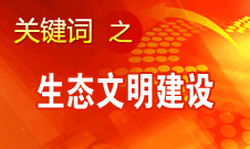 胡錦濤提出，大力推進生態文明建設